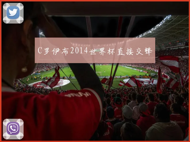 C罗伊布2014世界杯直接交锋