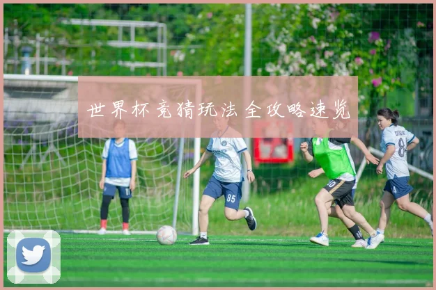 世界杯竞猜玩法全攻略速览